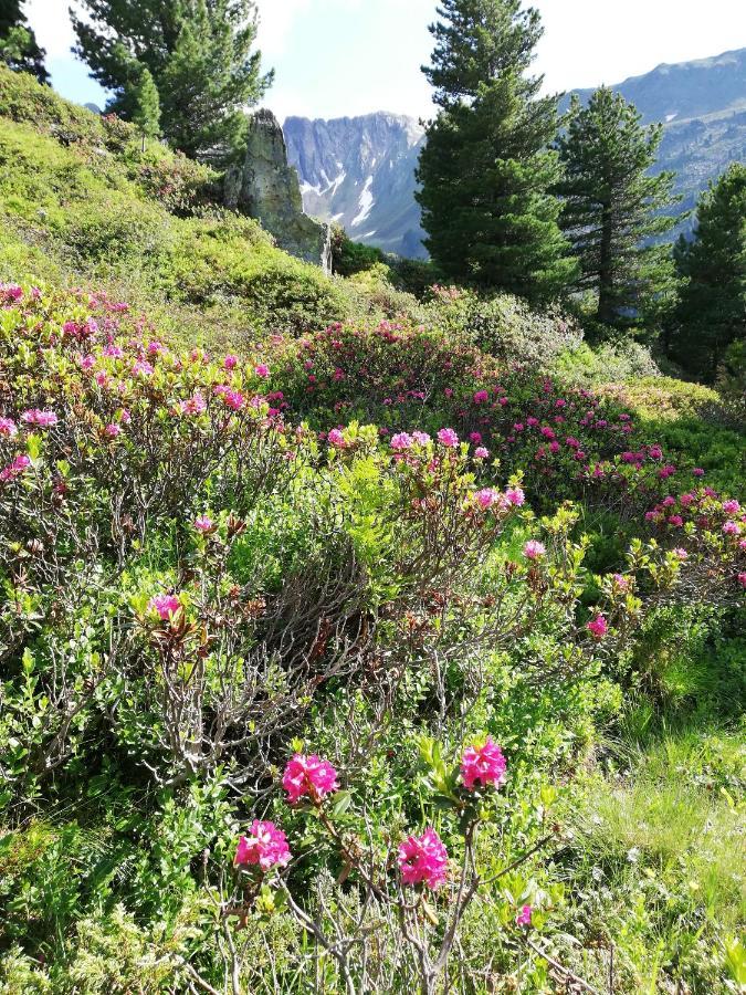 Apart Waldesruh Arzl im Pitztal Eksteriør billede