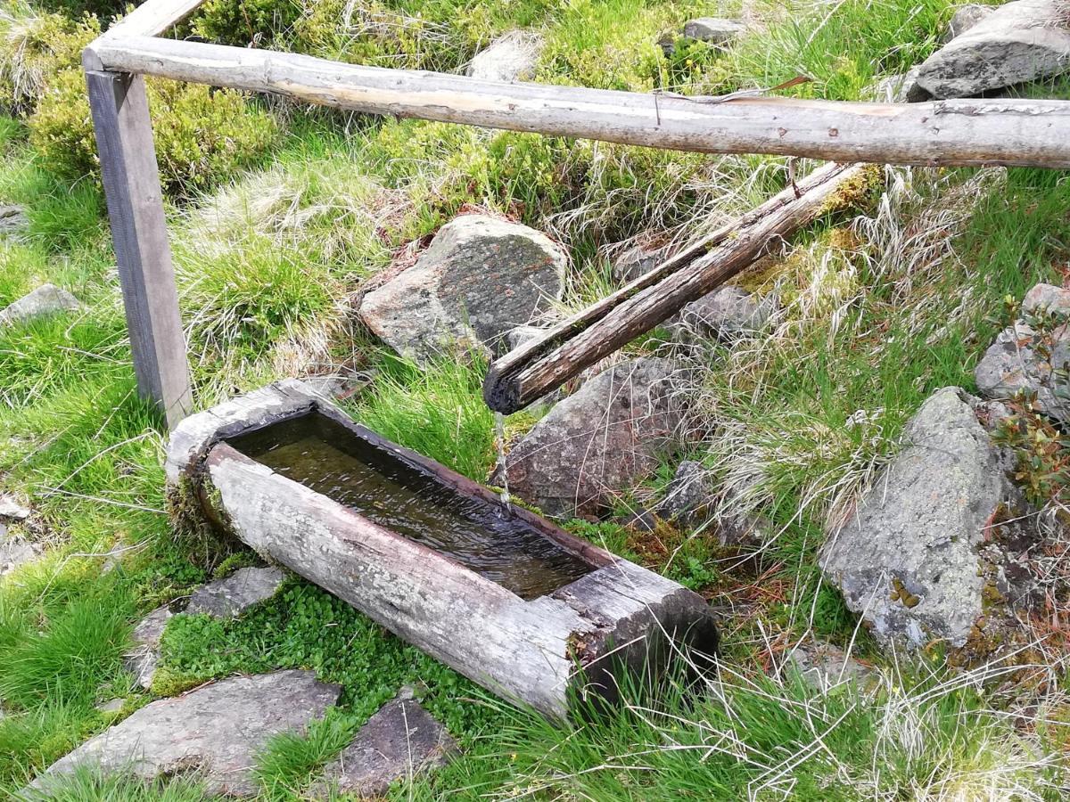 Apart Waldesruh Arzl im Pitztal Eksteriør billede
