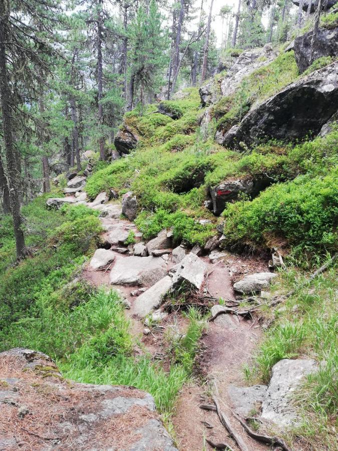 Apart Waldesruh Arzl im Pitztal Eksteriør billede