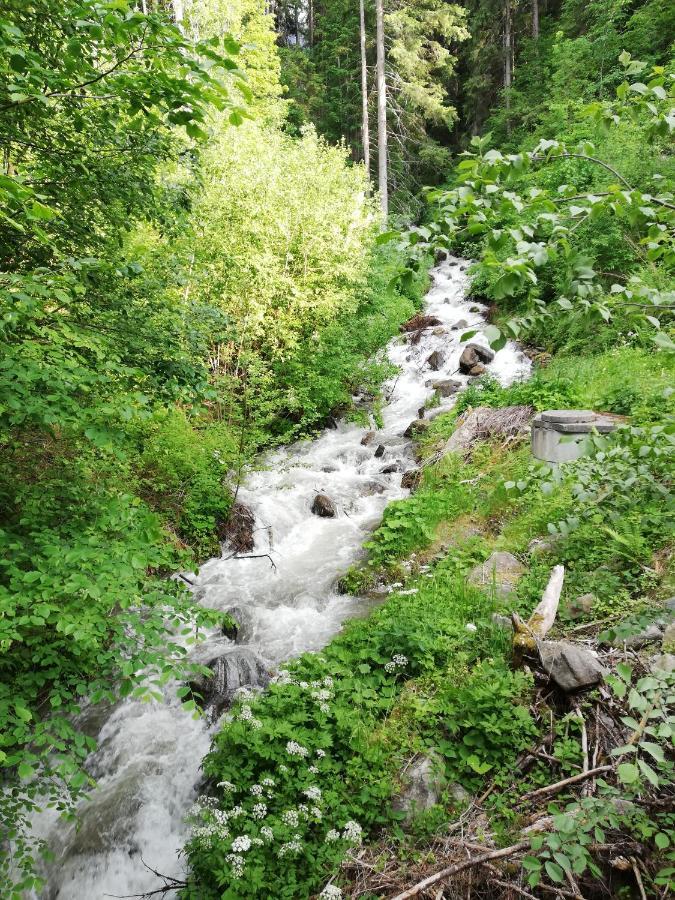 Apart Waldesruh Arzl im Pitztal Eksteriør billede